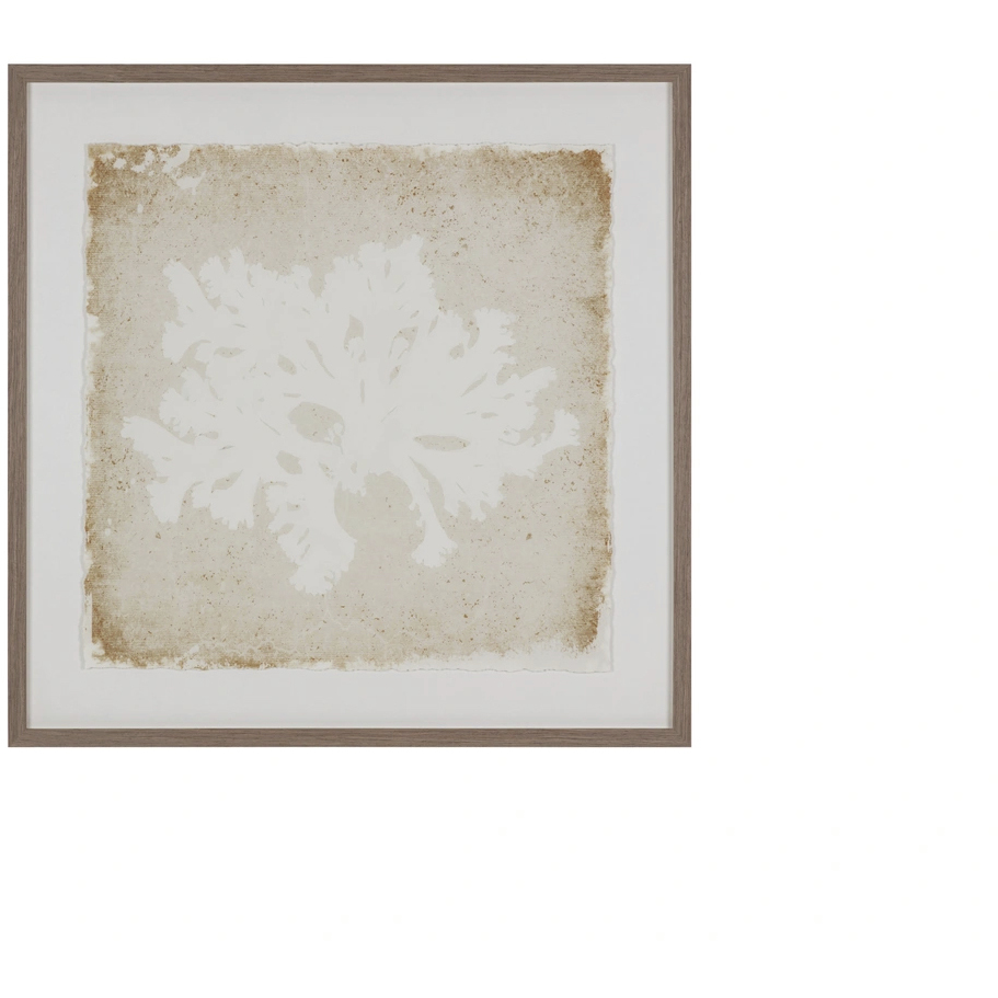 Aquatic Flora II 40 X 40 inch Nature